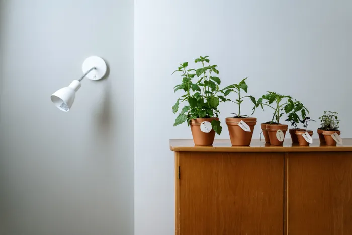 Keeping Notes About Your Indoor Herb Growing Progress